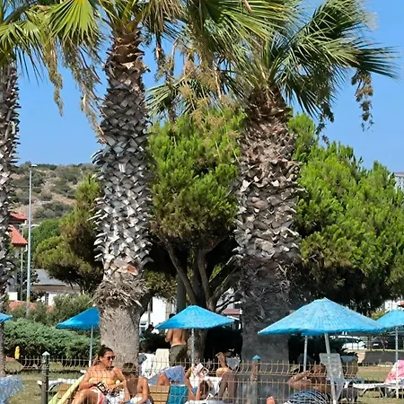 Kumsal * كوشاداسيه