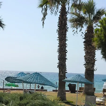 Kumsal كوشاداسيه